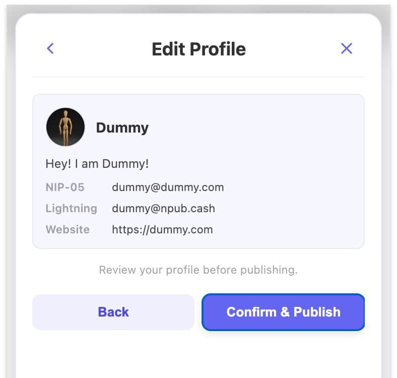 Review your profile before publishing — confirm display name, bio, NIP-05, Lightning address, and website, then click Confirm & Publish to sign and broadcast your kind 0 event